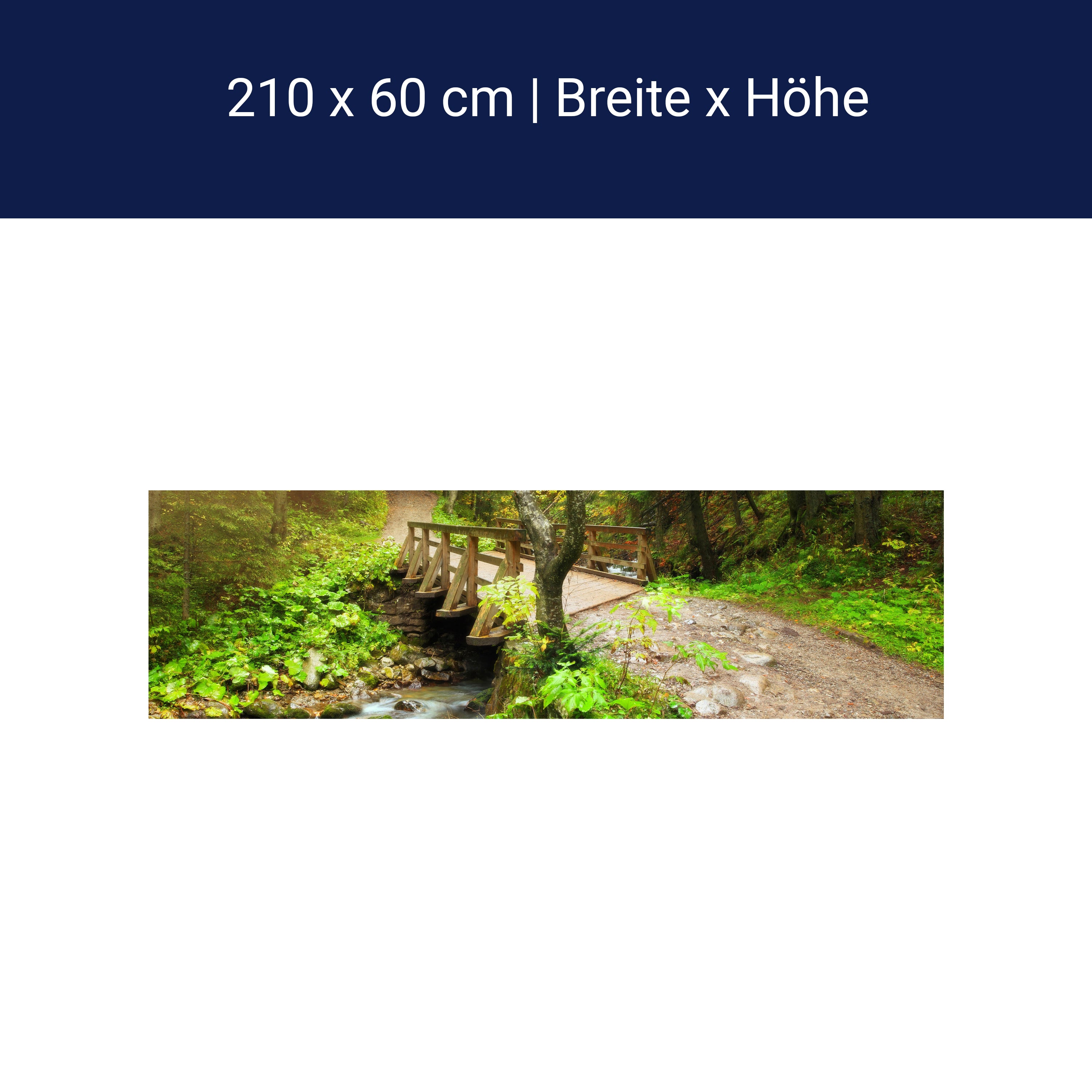 Küchenrückwand Waldweg mit Bach M0397