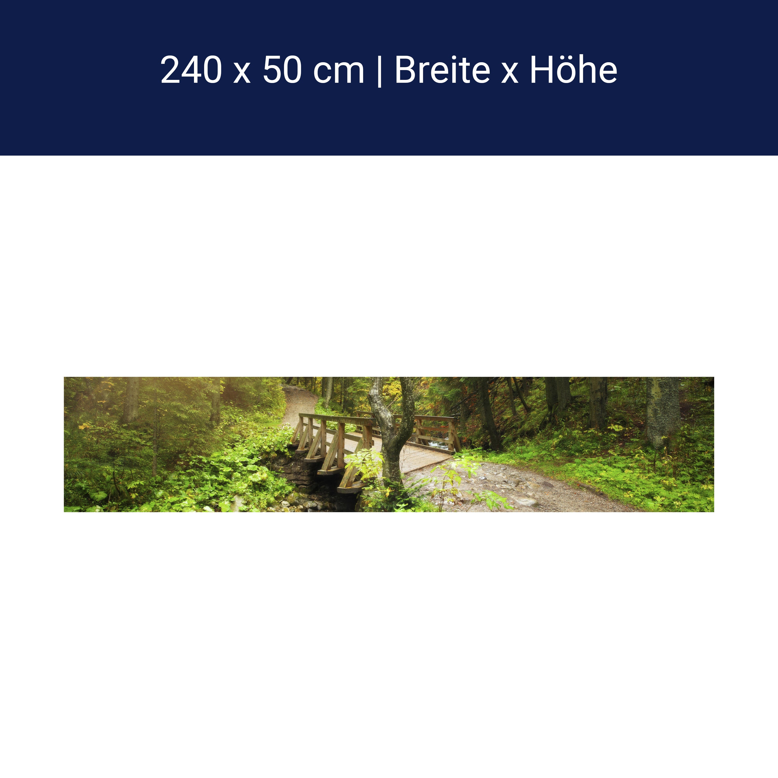 Küchenrückwand Waldweg mit Bach M0397