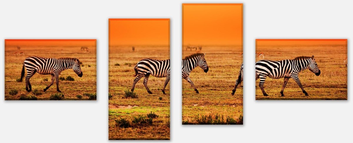 Leinwandbild Mehrteiler Zebras in der Savanne M0403