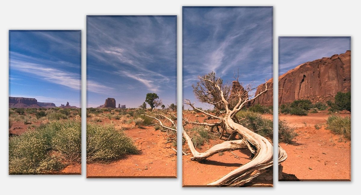 Leinwandbild Mehrteiler Wüstenlandschaft USA M0483
