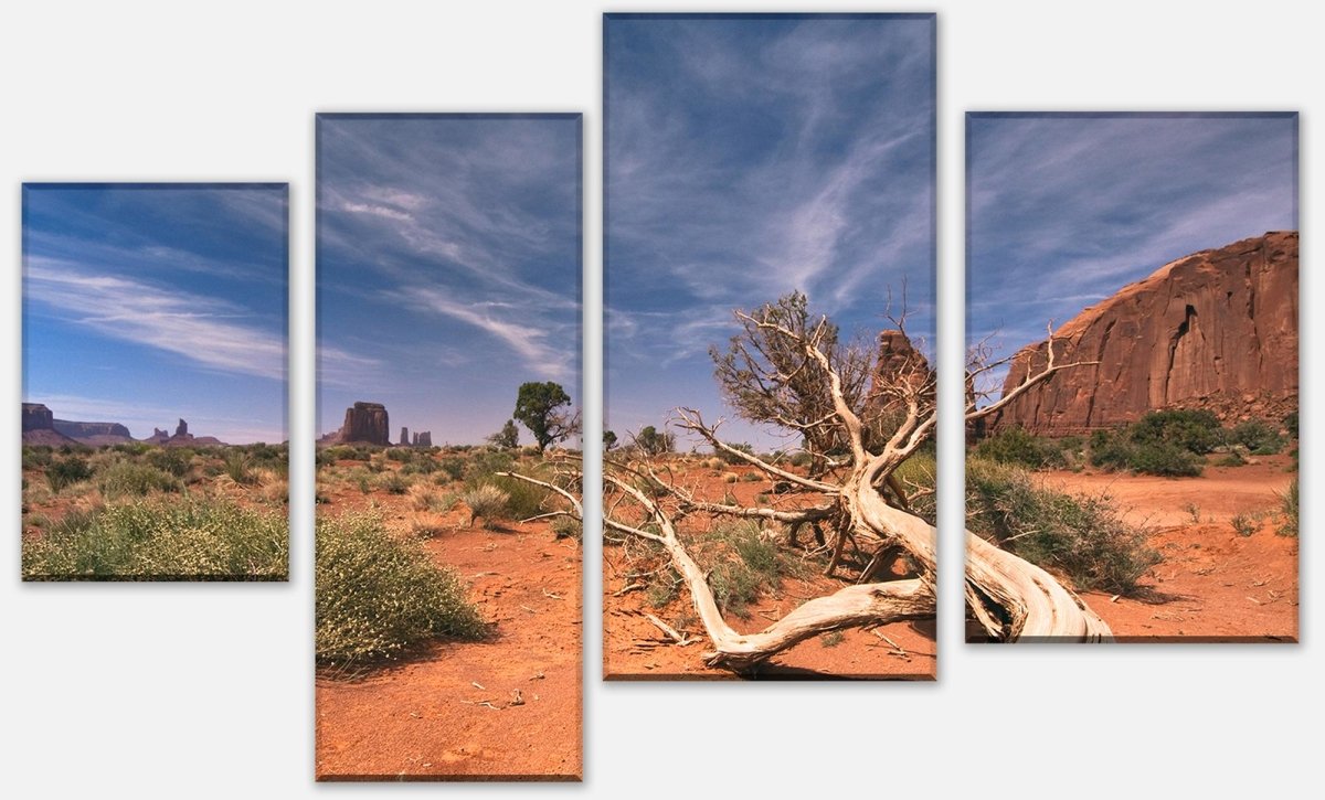 Leinwandbild Mehrteiler Wüstenlandschaft USA M0483