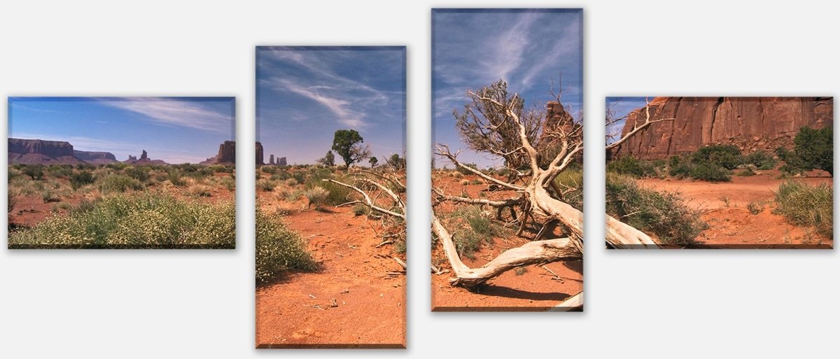Leinwandbild Mehrteiler Wüstenlandschaft USA M0483