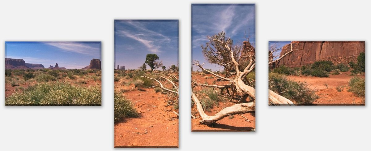 Leinwandbild Mehrteiler Wüstenlandschaft USA M0483