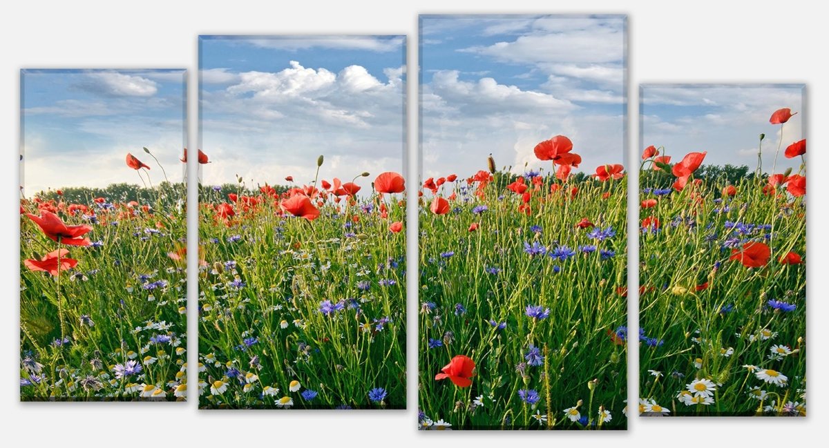 Leinwandbild Mehrteiler Blumenwiese M0493