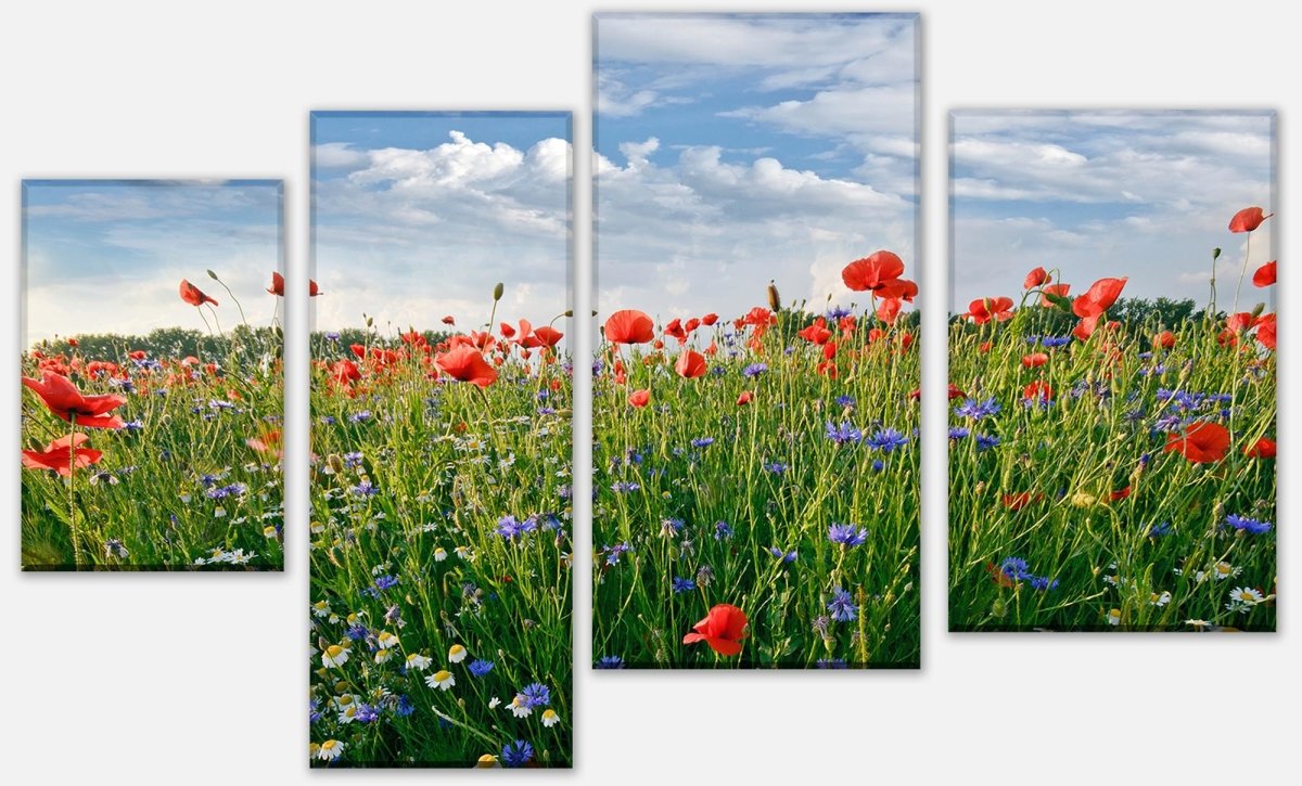 Leinwandbild Mehrteiler Blumenwiese M0493