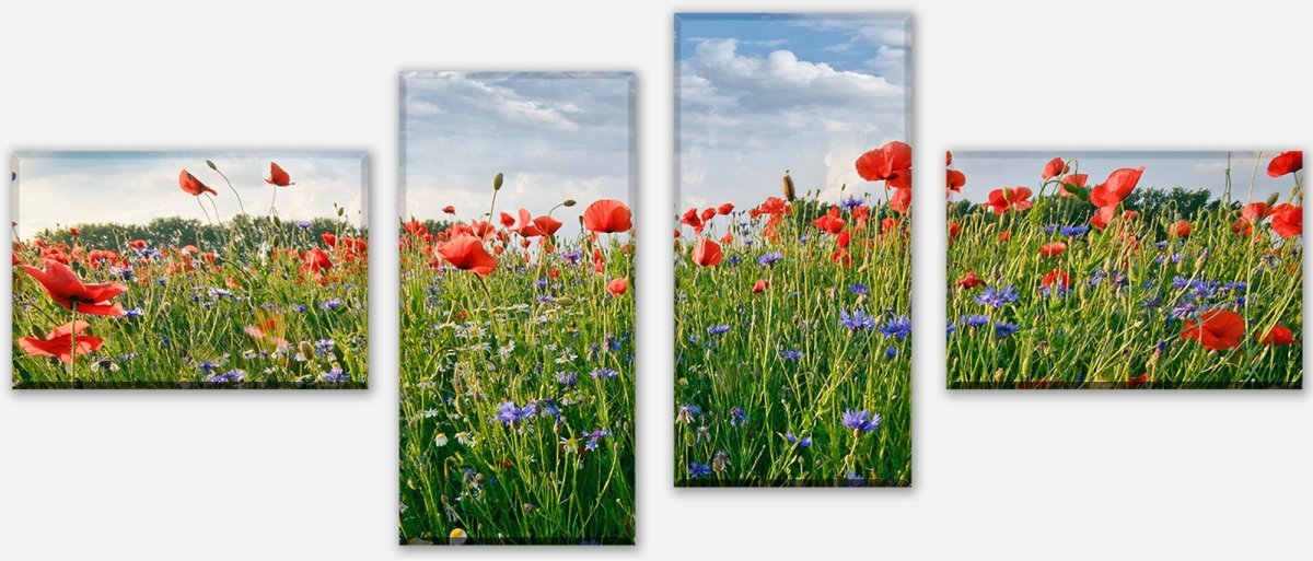 Leinwandbild Mehrteiler Blumenwiese M0493