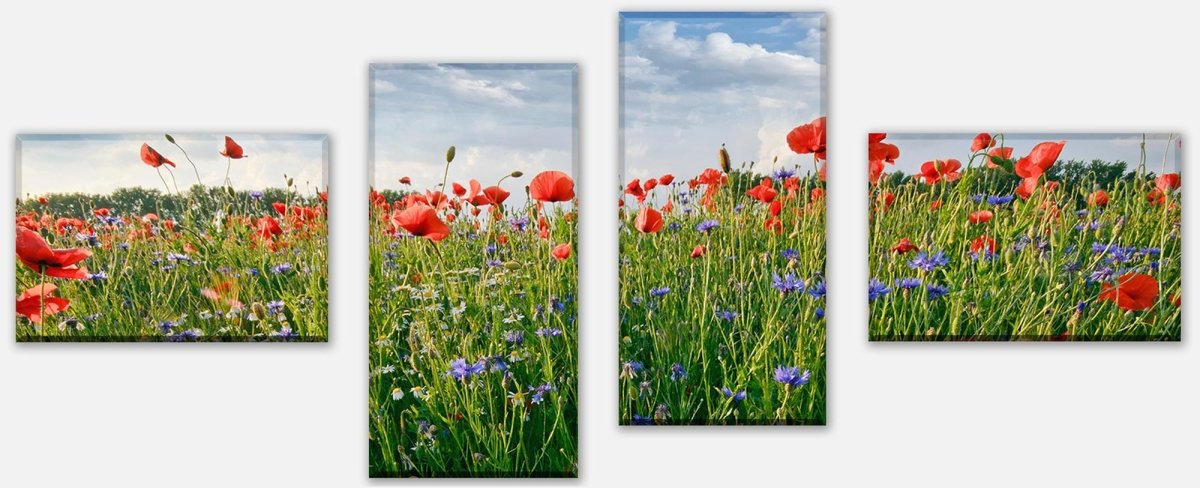 Leinwandbild Mehrteiler Blumenwiese M0493