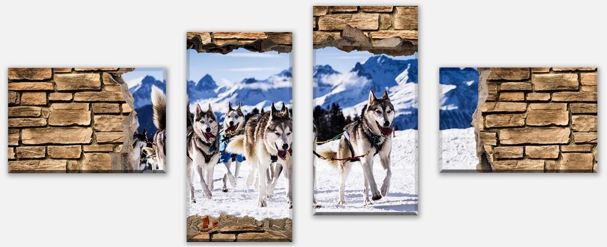 Leinwandbild Mehrteiler 3D Schlittenhunde Racing - Steinmauer M0671