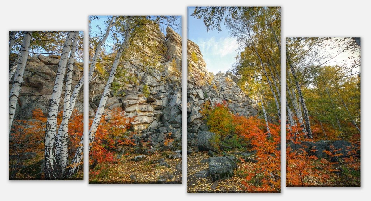 Leinwandbild Mehrteiler Herbst Birkenbaum Wald M0716