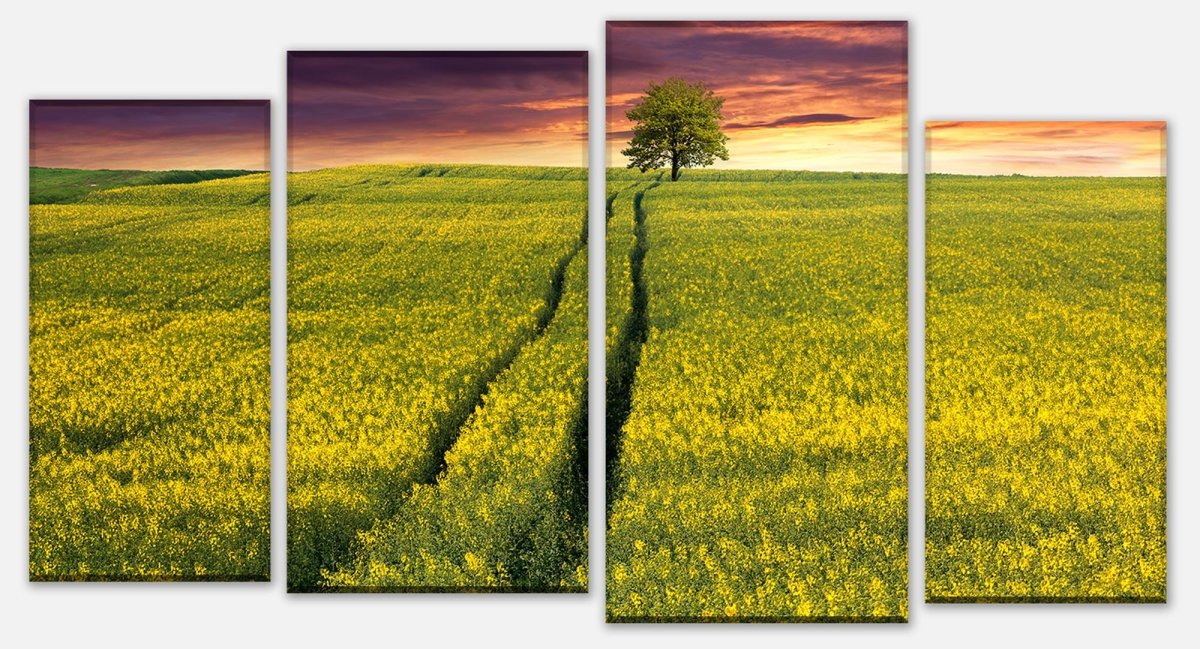 Leinwandbild Mehrteiler Landschaft mit einem Feld von gelben Blumen M0874