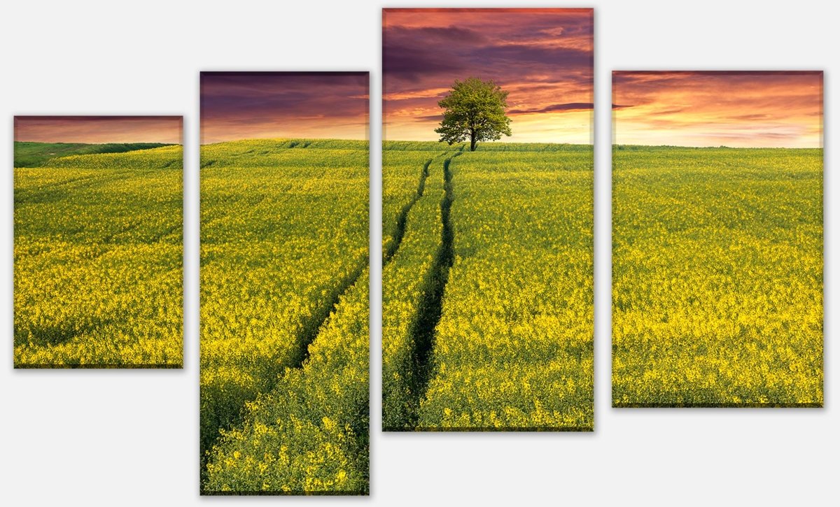 Leinwandbild Mehrteiler Landschaft mit einem Feld von gelben Blumen M0874