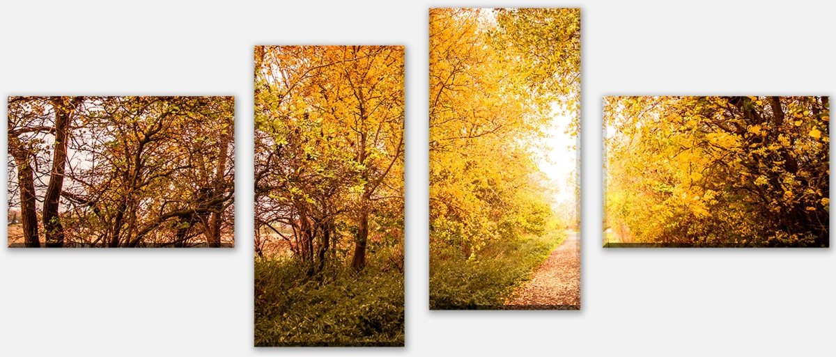 Leinwandbild Mehrteiler Herbstlandschaft in warmen Farben M0896