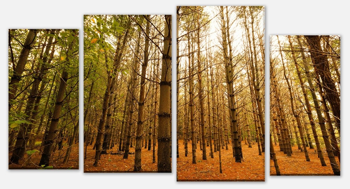 Leinwandbild Mehrteiler Bunte Herbstlandschaft M0921