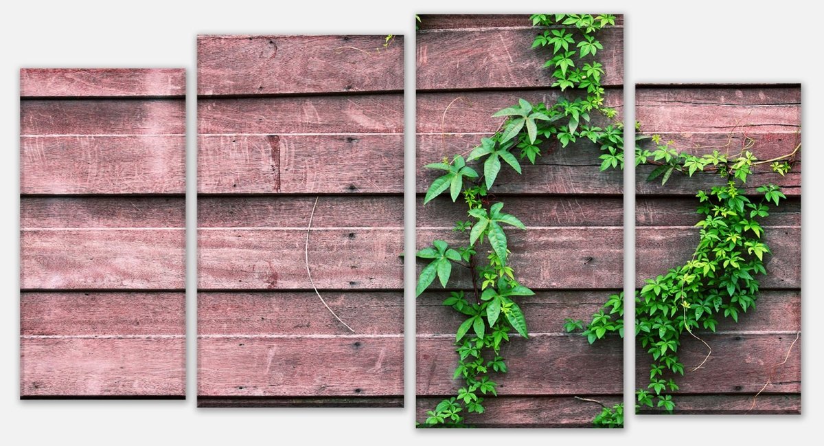 Leinwandbild Mehrteiler Wand mit Kletterpflanze M1004