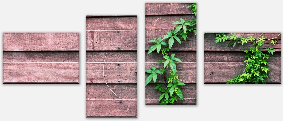 Leinwandbild Mehrteiler Wand mit Kletterpflanze M1004