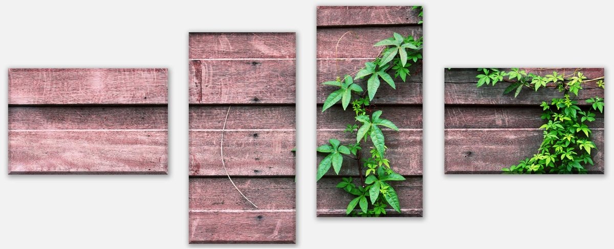 Leinwandbild Mehrteiler Wand mit Kletterpflanze M1004