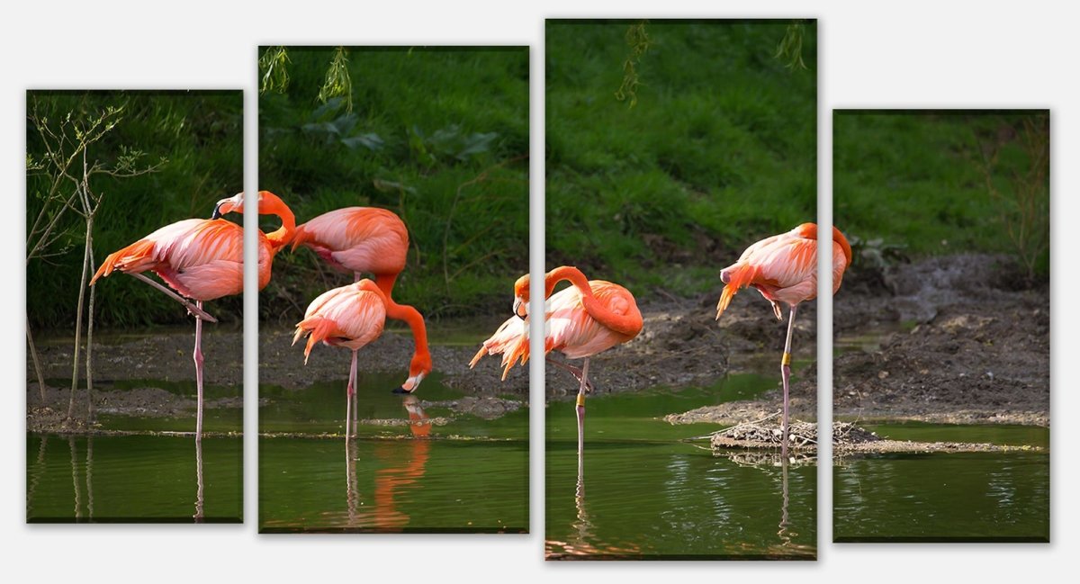 Leinwandbild Mehrteiler Flamingos in einem Pool M1009