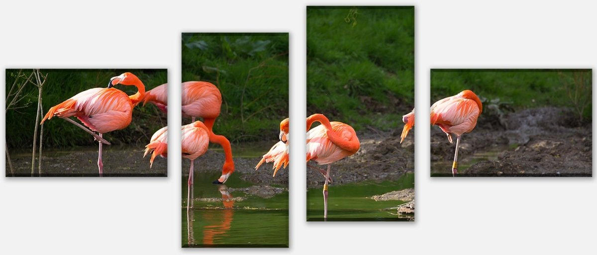 Leinwandbild Mehrteiler Flamingos in einem Pool M1009