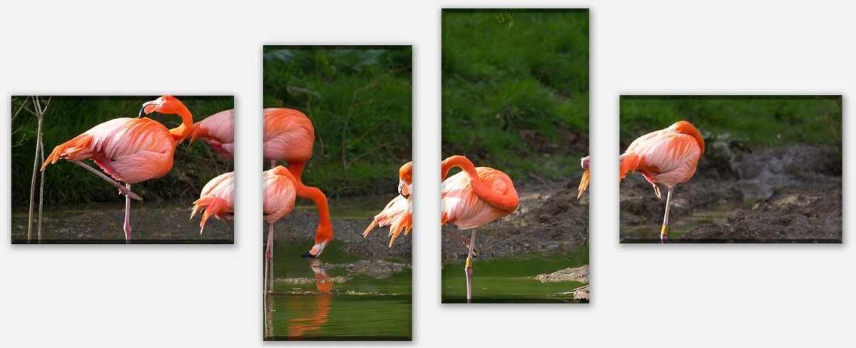 Leinwandbild Mehrteiler Flamingos in einem Pool M1009