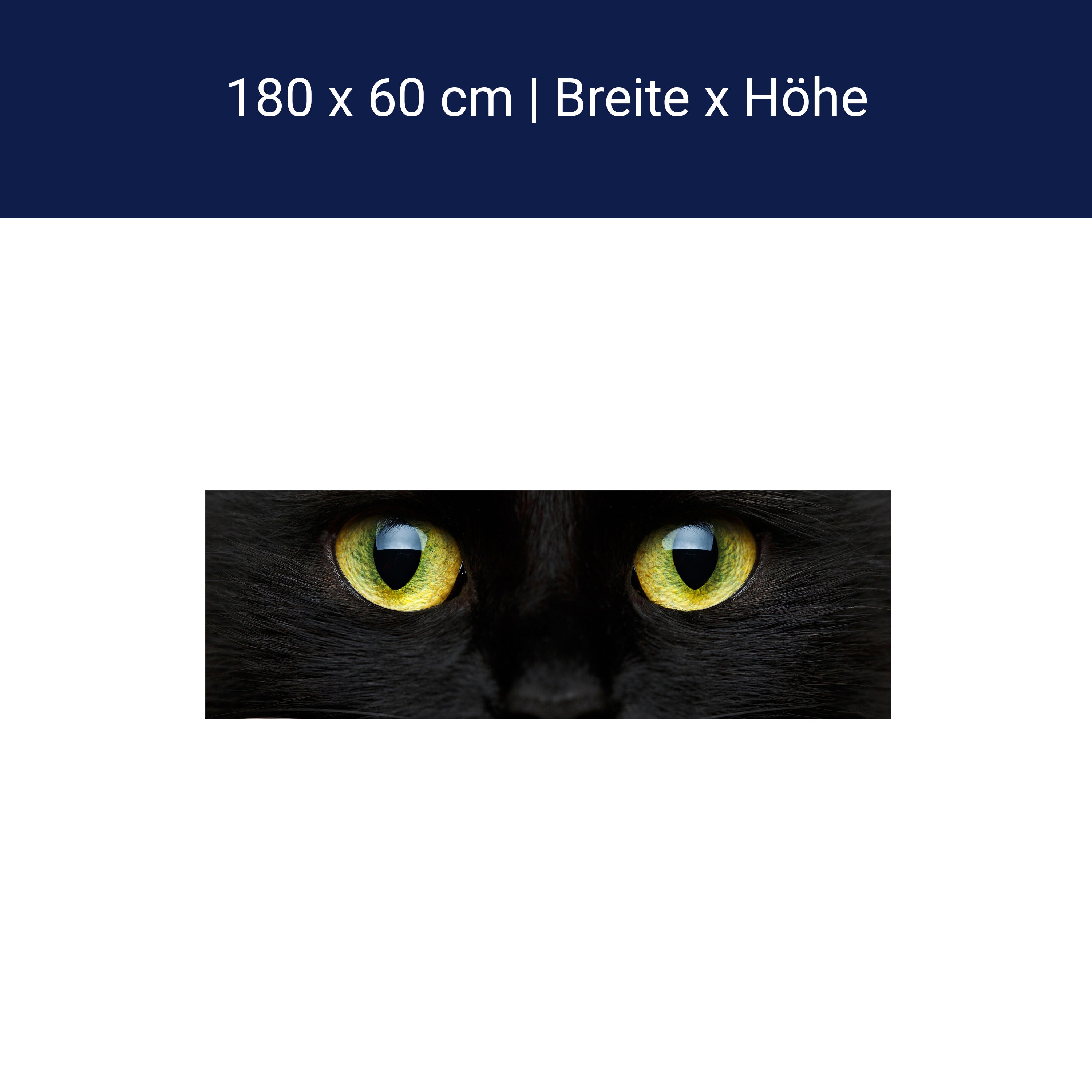 Küchenrückwand Nahaufnahme der schwarzen Katze M1013