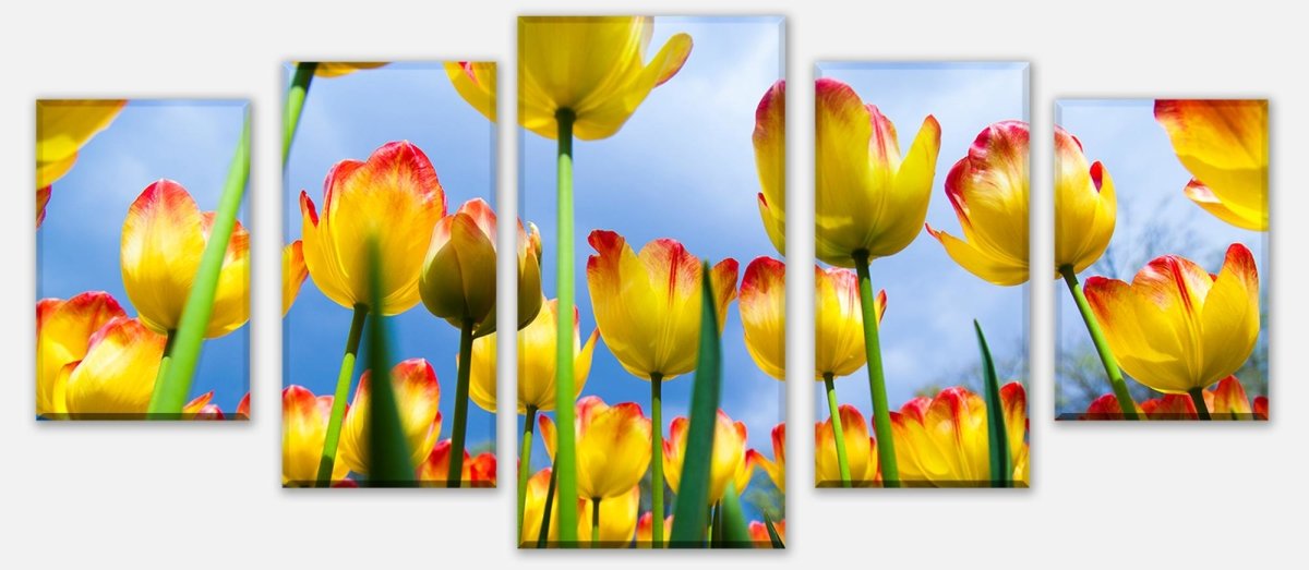 Leinwandbild Mehrteiler Tulpen M1029 entdecken - Bild 1