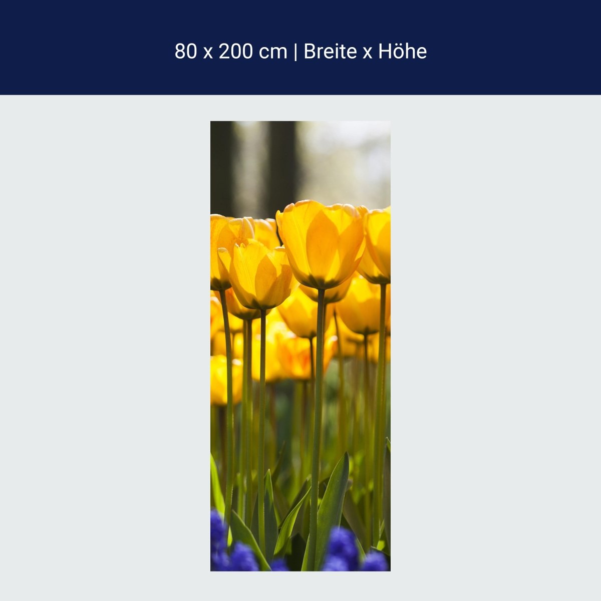 Duschwand Tulpen im Garten M1030