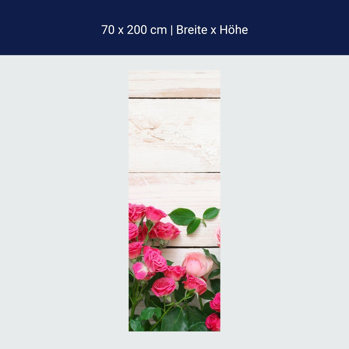 Duschwand Rosa und karminrote Rosen M1034