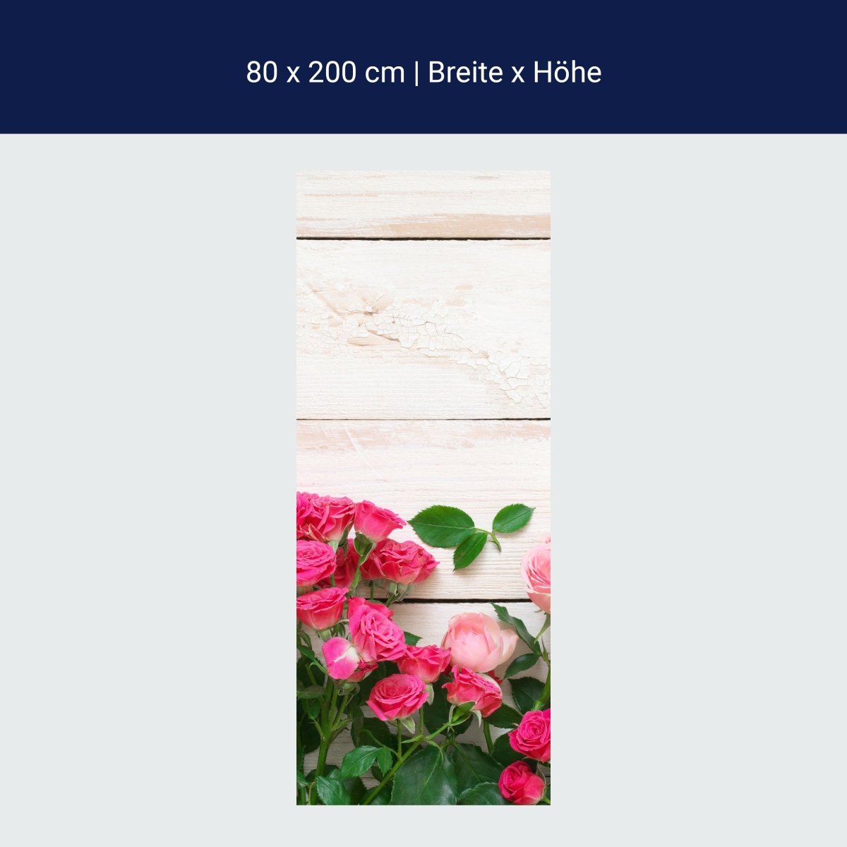 Duschwand Rosa und karminrote Rosen M1034