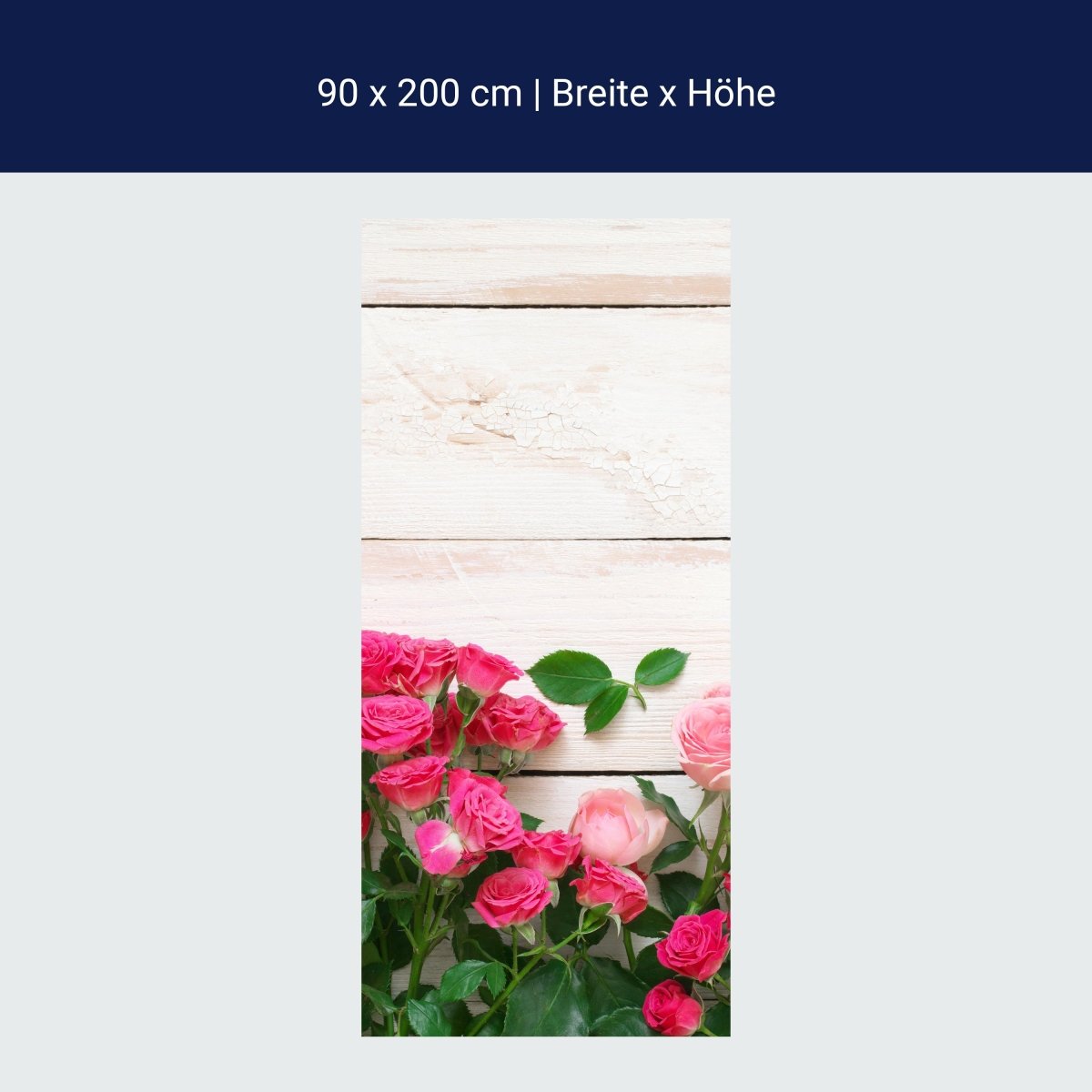 Duschwand Rosa und karminrote Rosen M1034