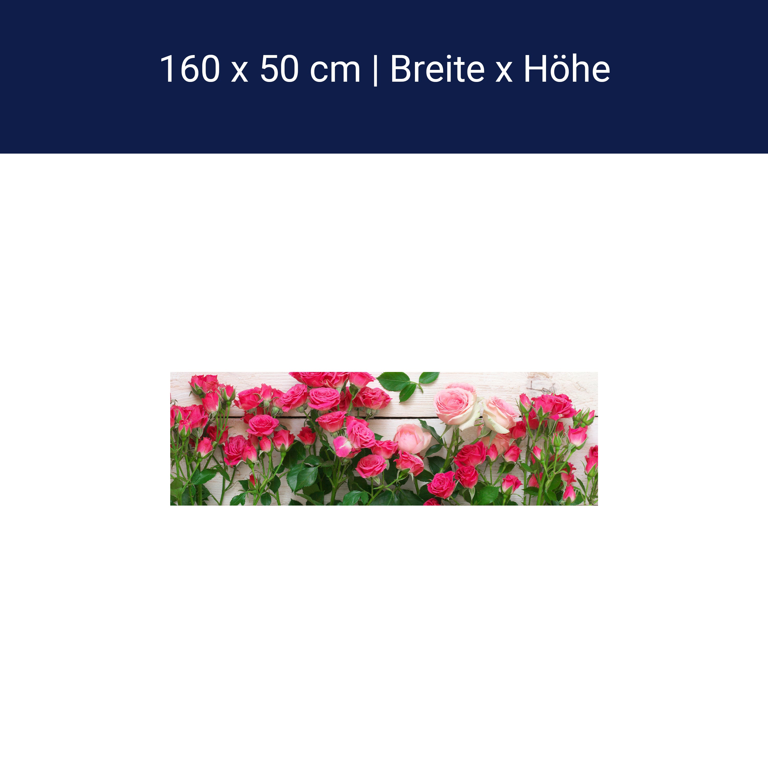 Küchenrückwand Rosa und karminrote Rosen M1034