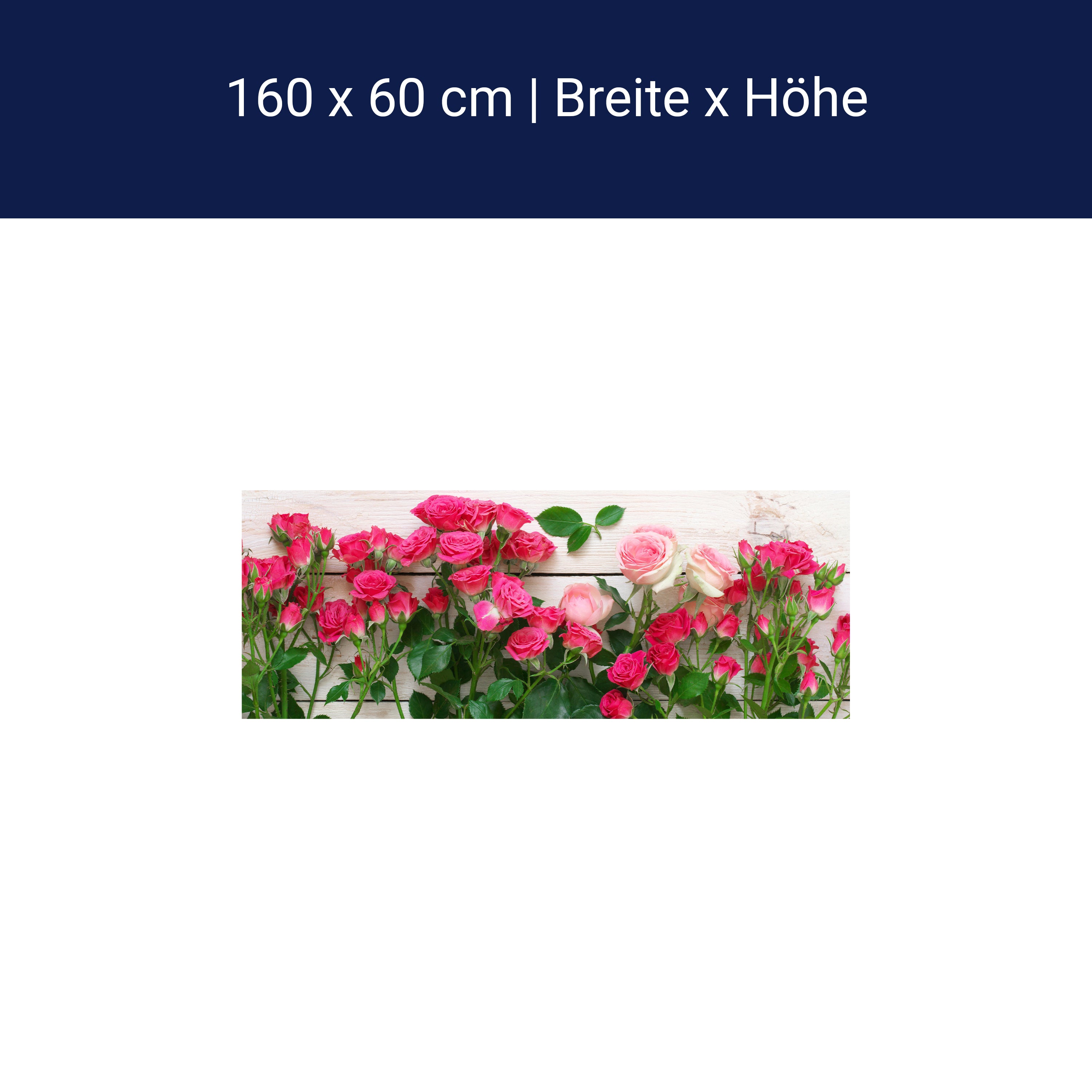 Küchenrückwand Rosa und karminrote Rosen M1034