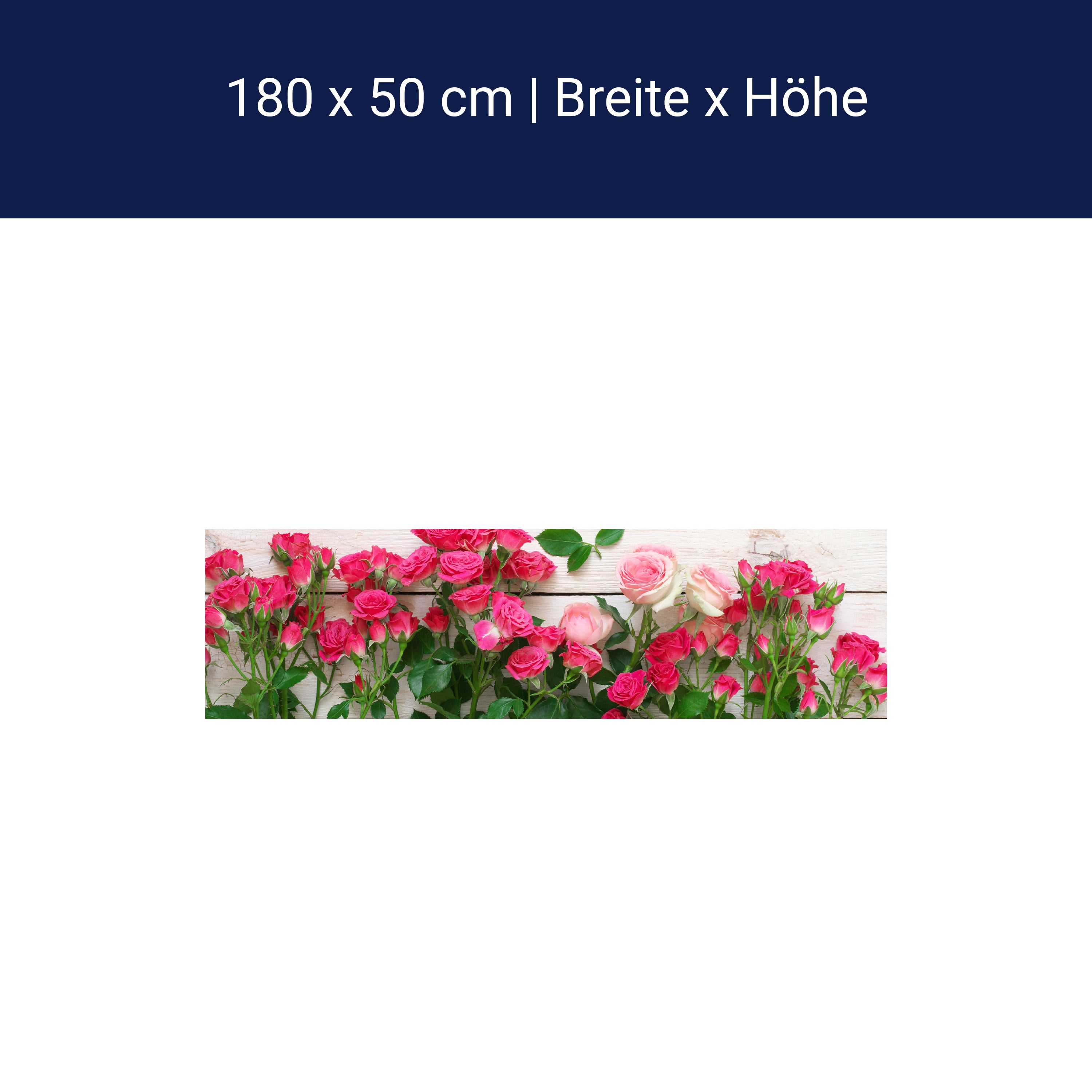 Küchenrückwand Rosa und karminrote Rosen M1034