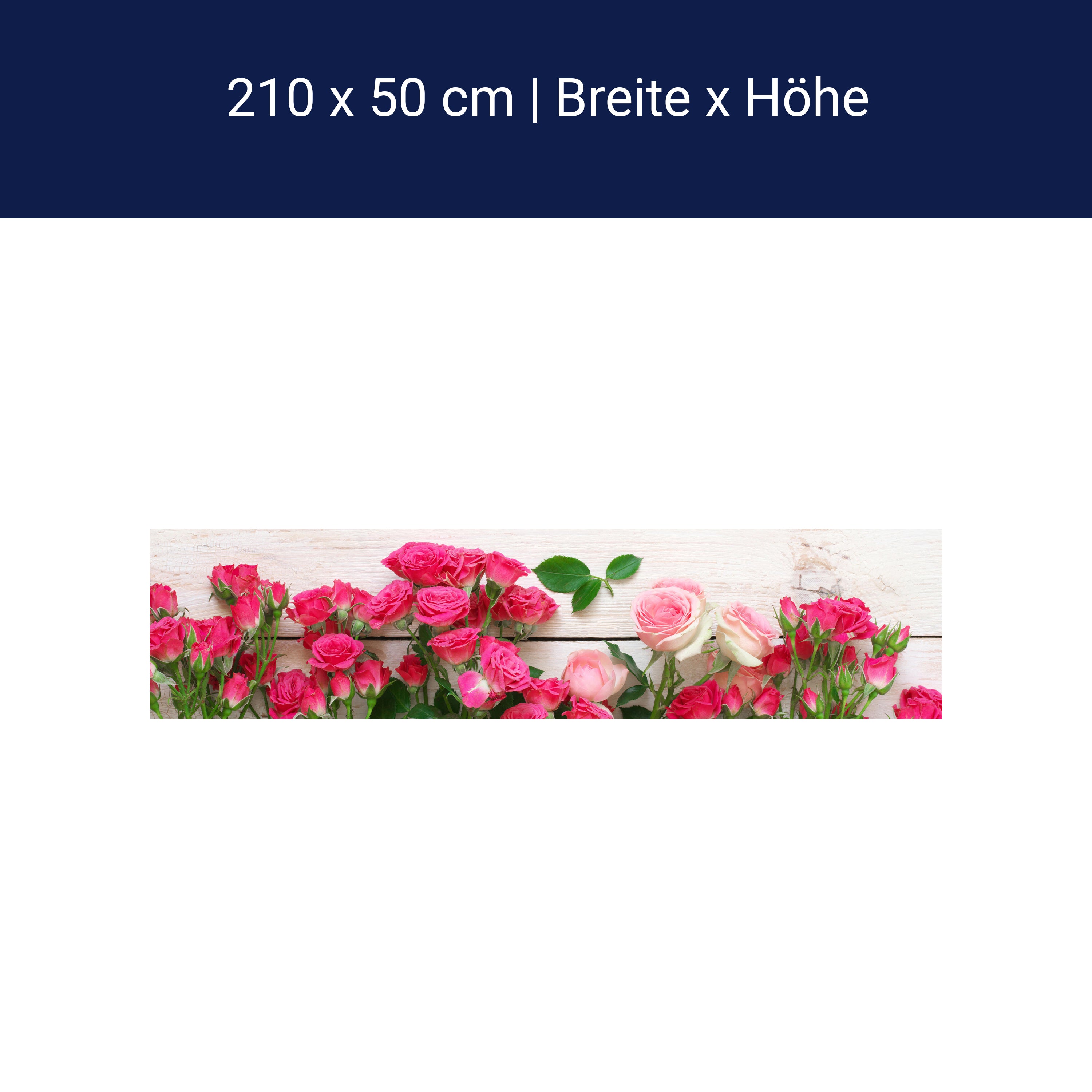 Küchenrückwand Rosa und karminrote Rosen M1034