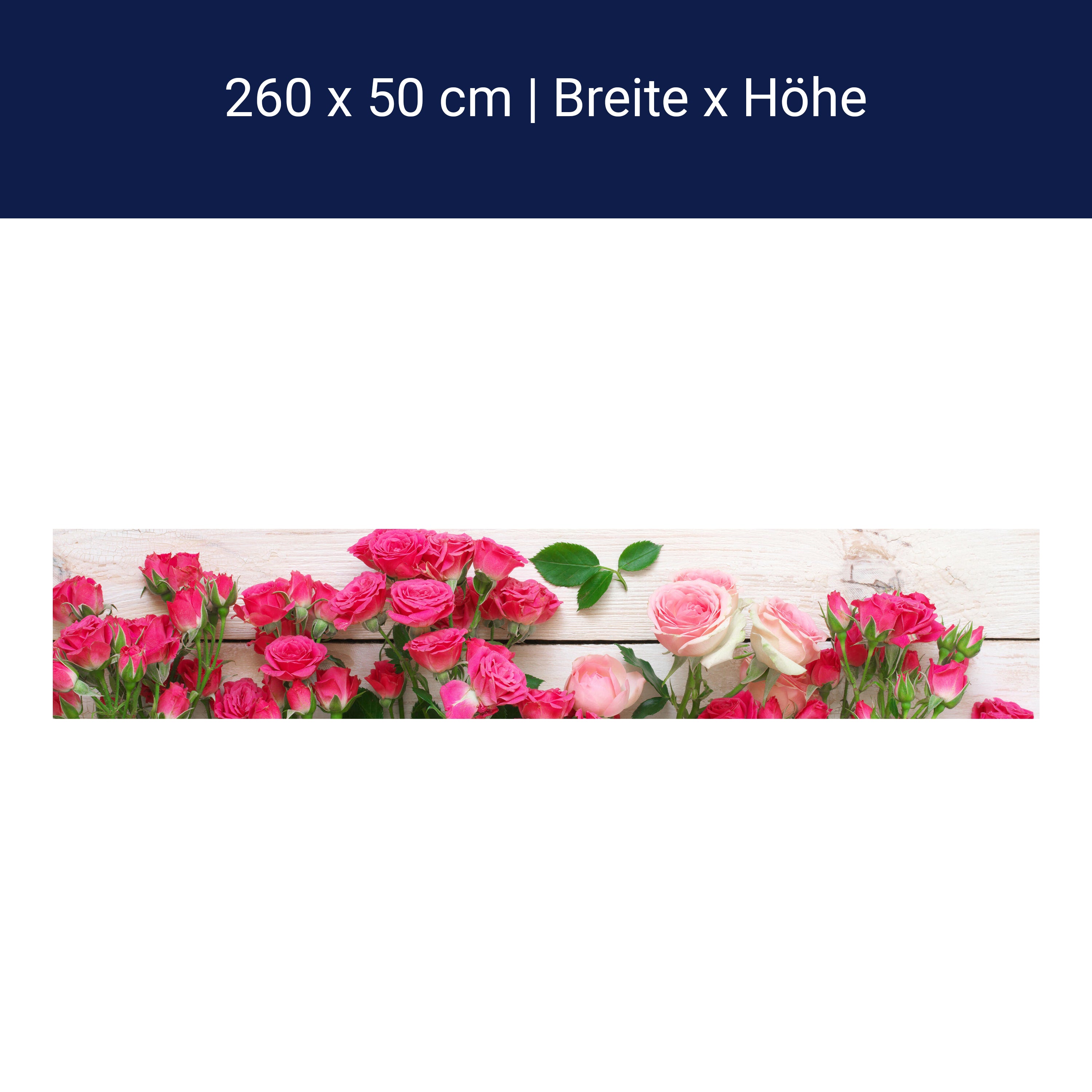 Küchenrückwand Rosa und karminrote Rosen M1034