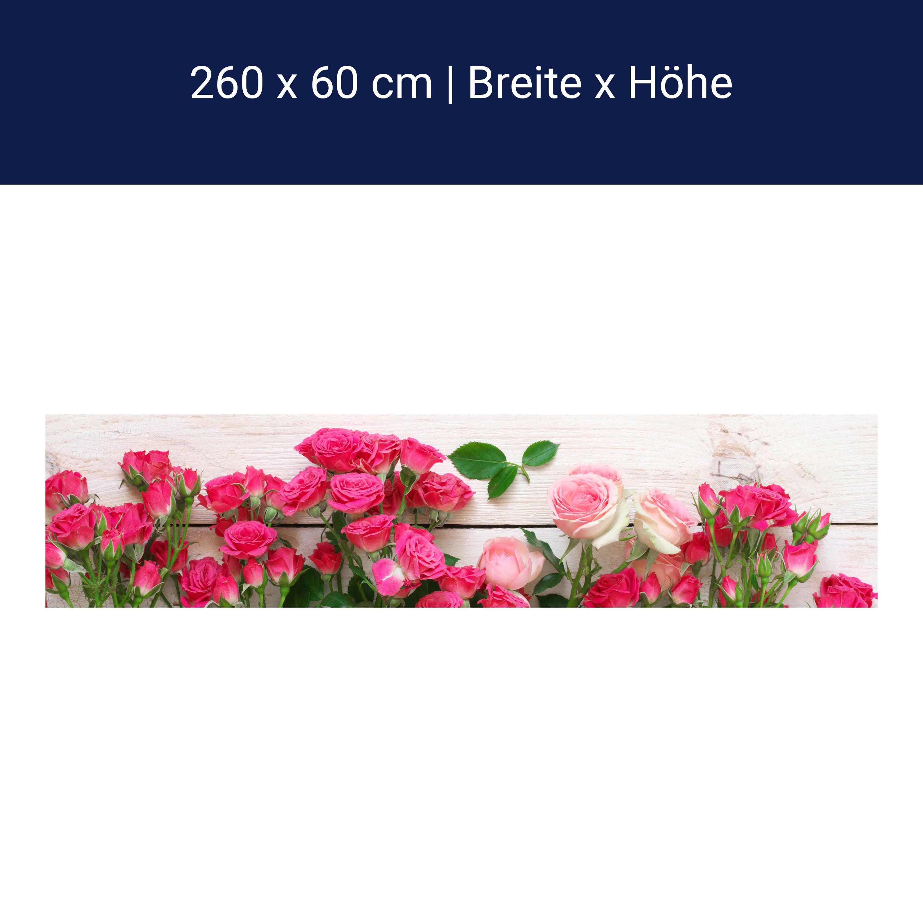 Küchenrückwand Rosa und karminrote Rosen M1034