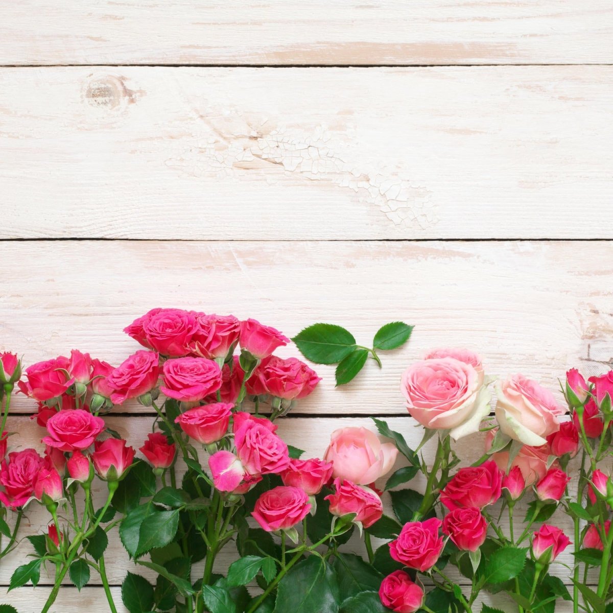 Beistelltisch Rosa und karminrote Rosen M1034 entdecken - Bild 2