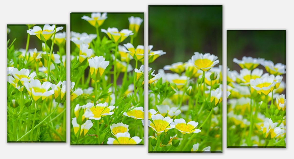 Leinwandbild Mehrteiler Blumen, die im Sommergarten wachsen M1039