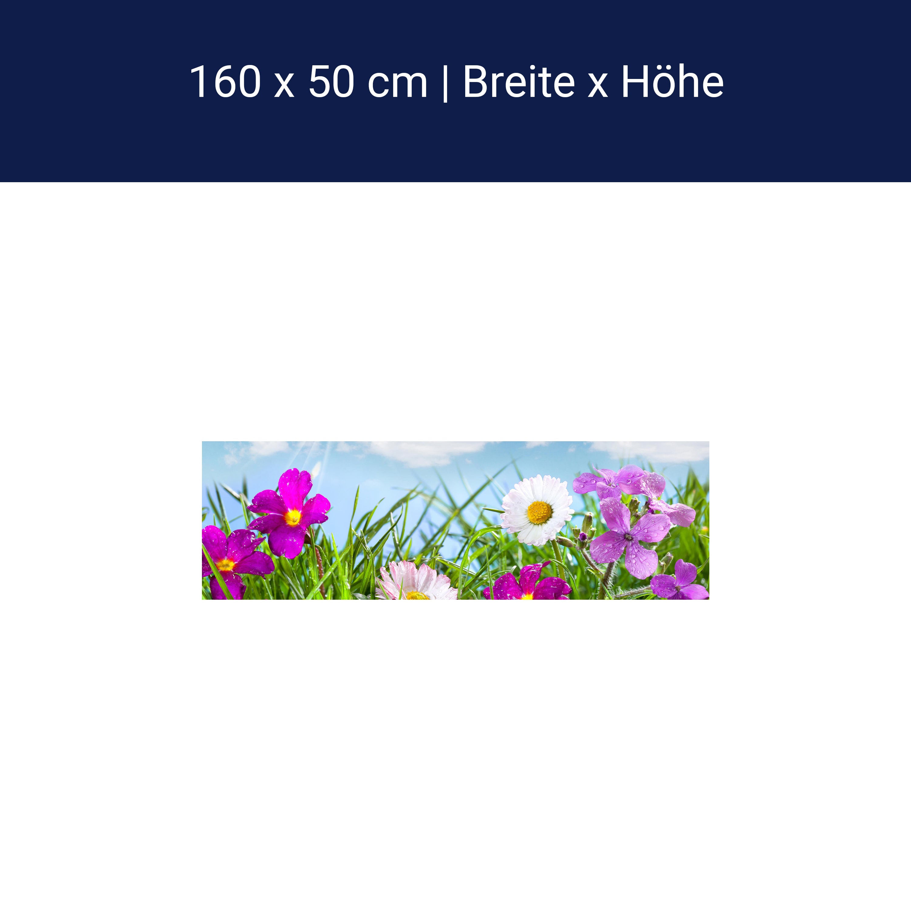 Küchenrückwand Blühende Wiese unter blauem Himmel M1044