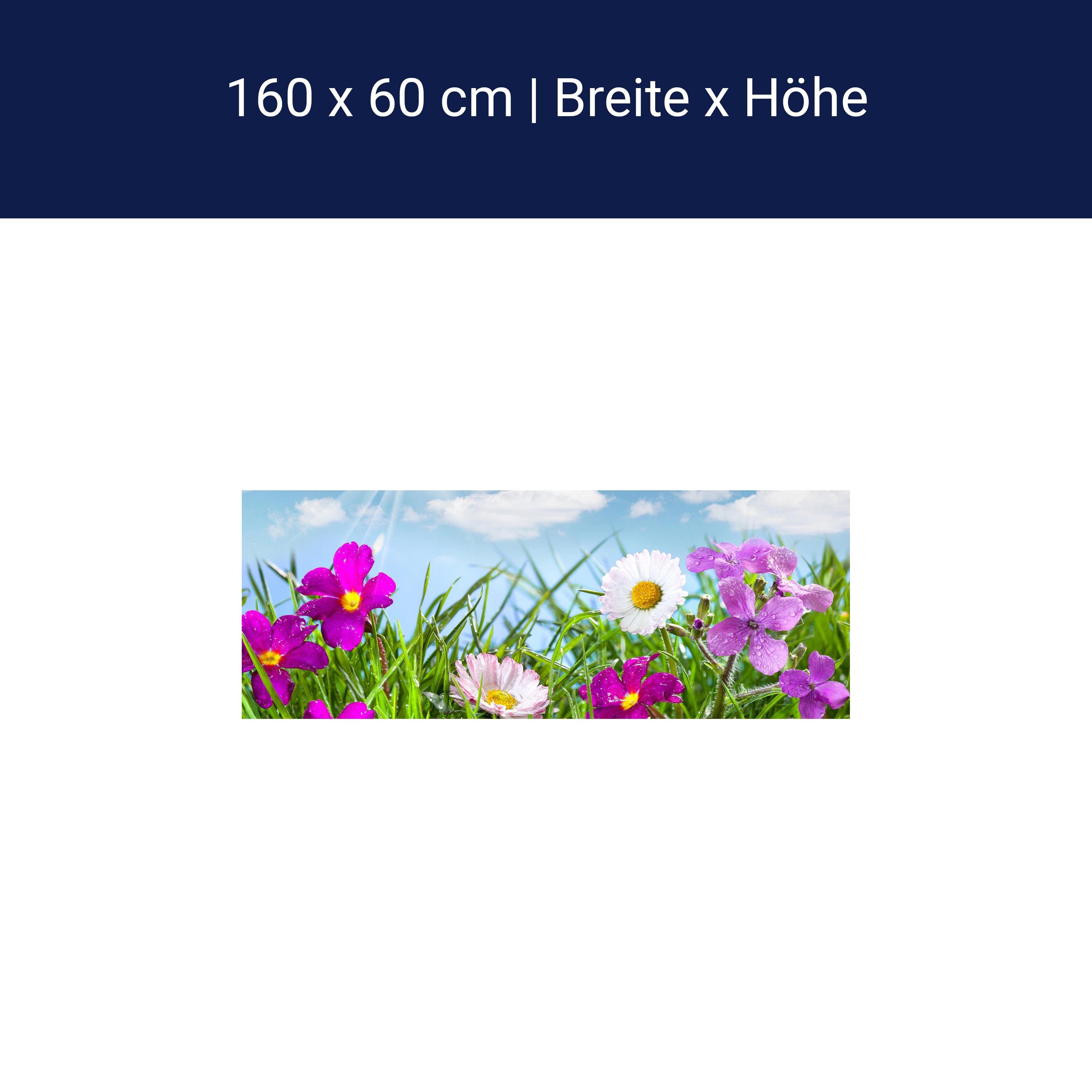 Küchenrückwand Blühende Wiese unter blauem Himmel M1044