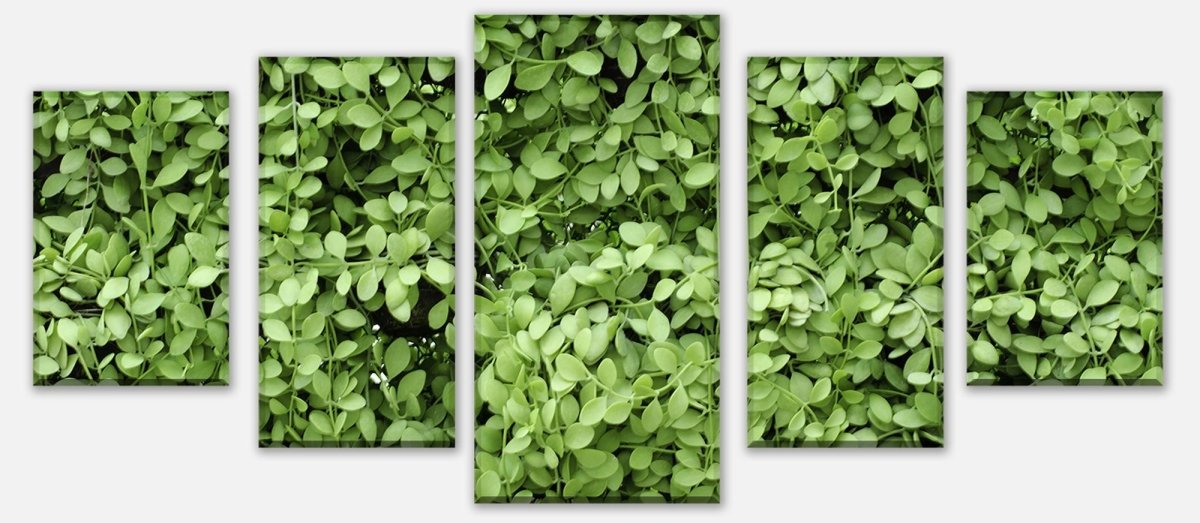 Leinwandbild Mehrteiler Grüne Blätter Wand M1045 entdecken - Bild 1