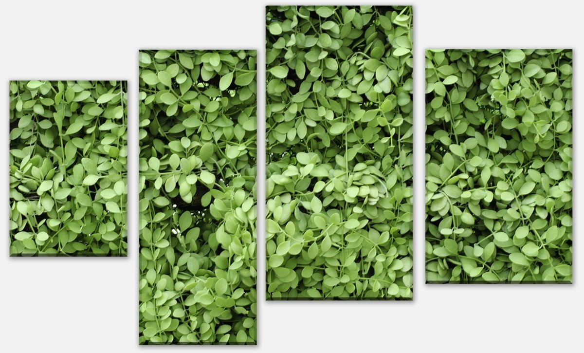 Leinwandbild Mehrteiler Grüne Blätter Wand M1045