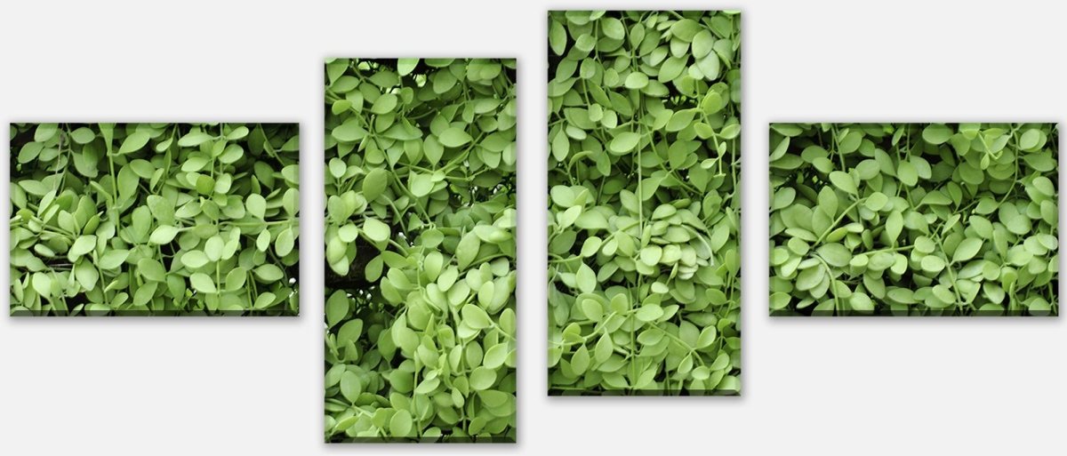Leinwandbild Mehrteiler Grüne Blätter Wand M1045