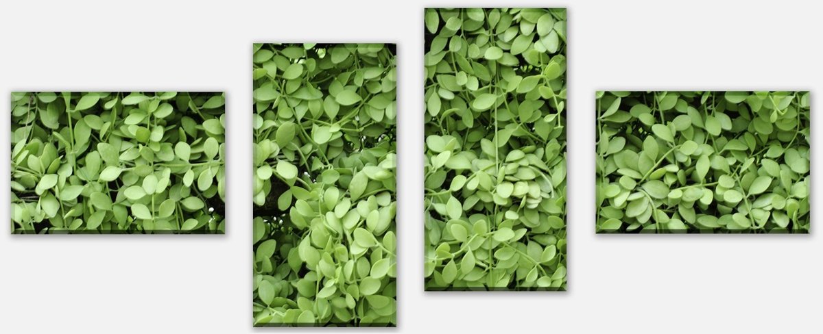 Leinwandbild Mehrteiler Grüne Blätter Wand M1045