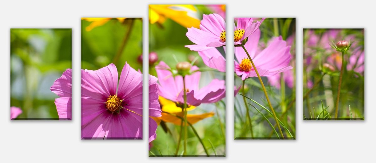 Leinwandbild Mehrteiler Schöne Frühlingsblumen M1048 entdecken - Bild 1