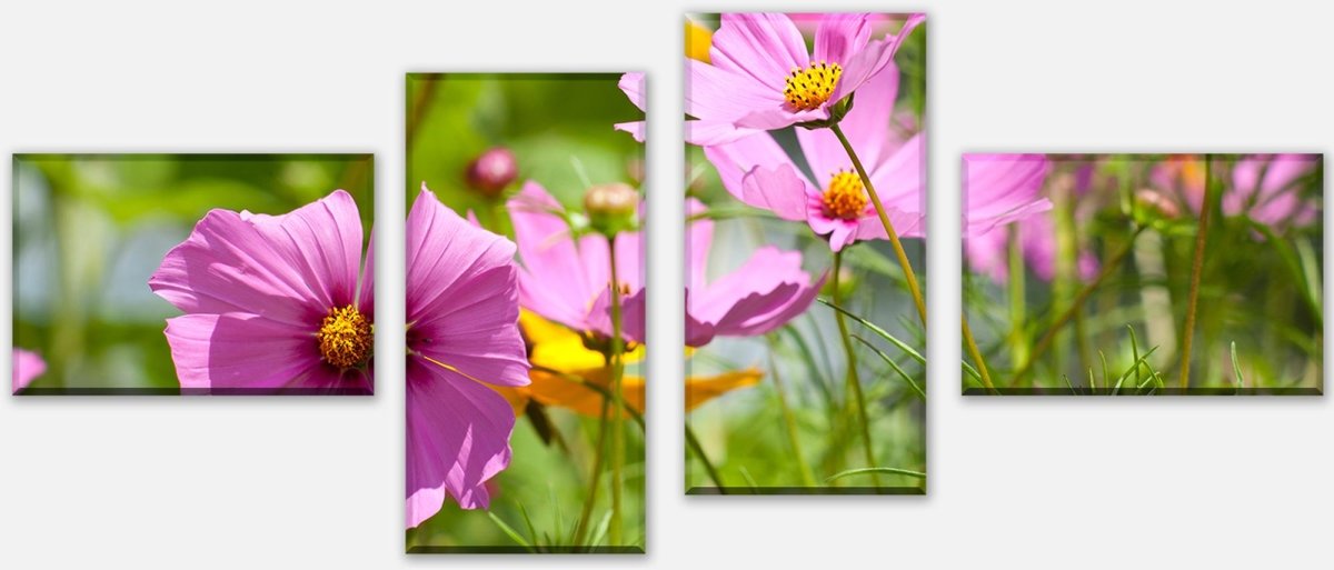 Leinwandbild Mehrteiler Schöne Frühlingsblumen M1048