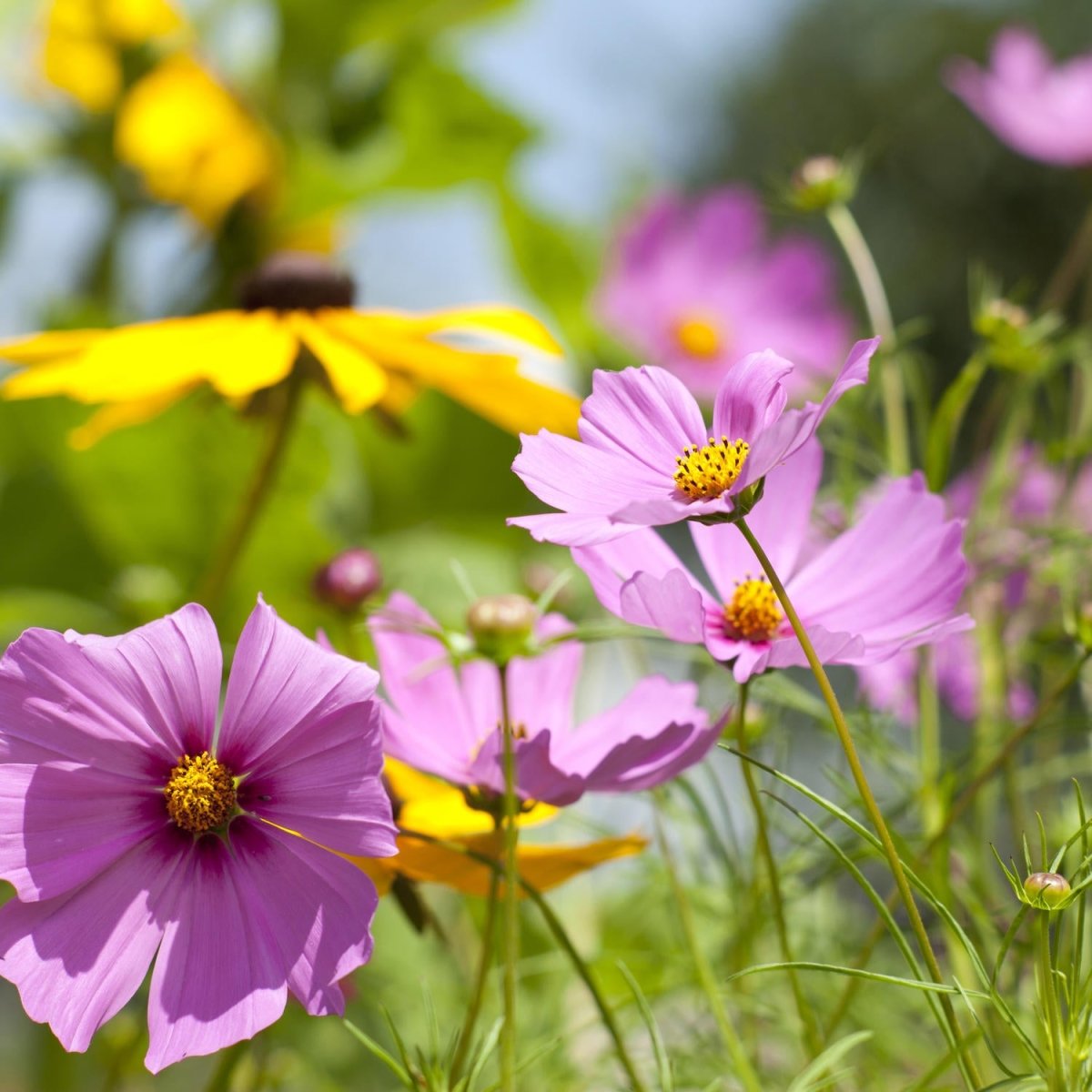 Beistelltisch Schöne Frühlingsblumen M1048 entdecken - Bild 2