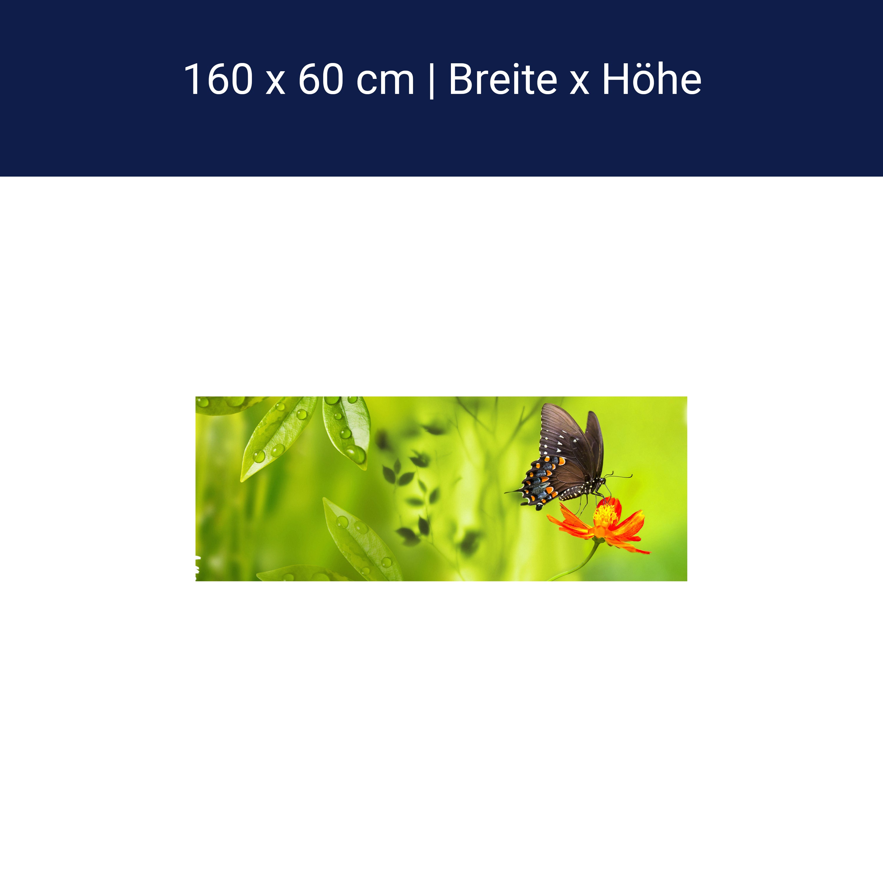 Küchenrückwand Schmetterling Marienkäfer Grün Gänseblüm M1080