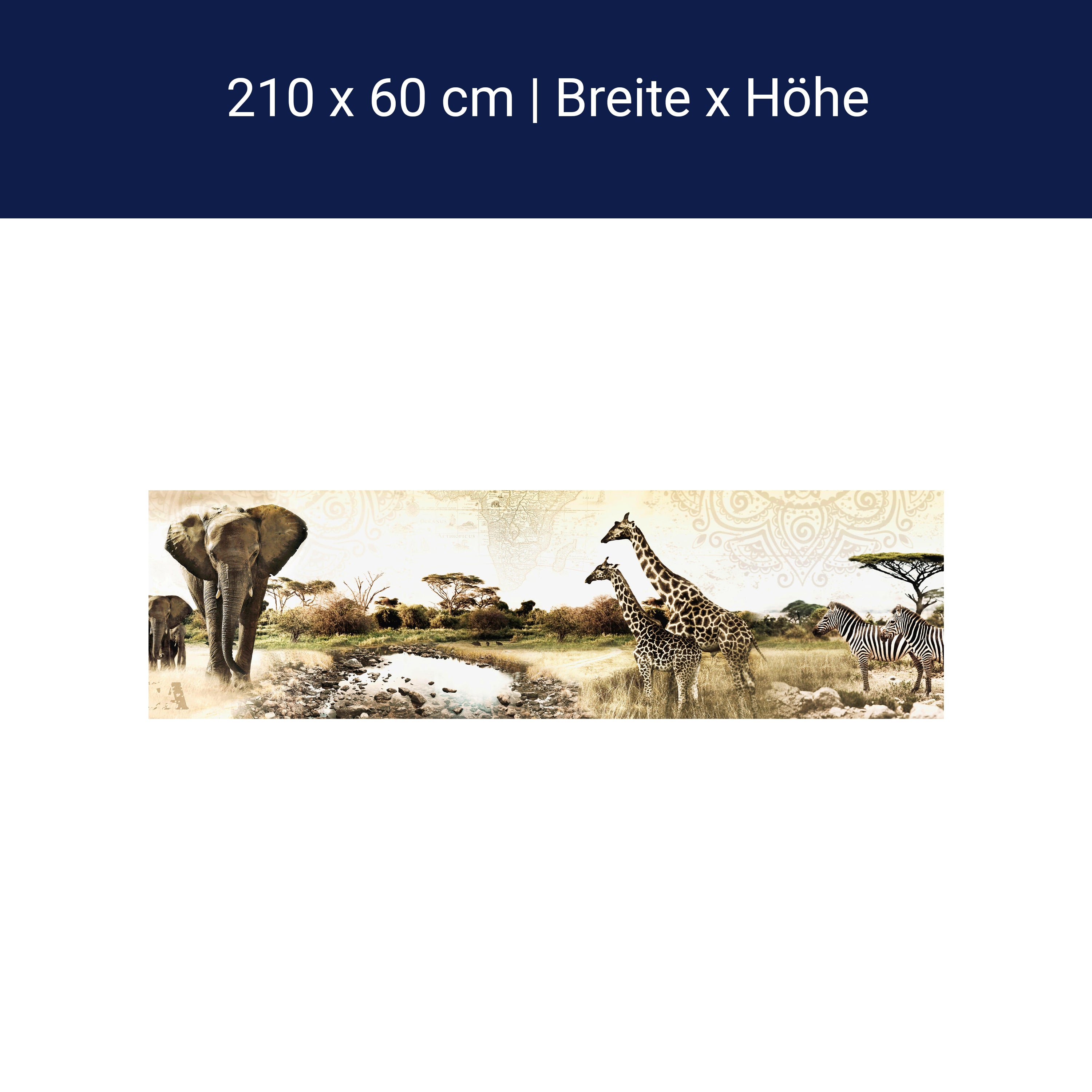 Küchenrückwand Afrika Elefant Giraffe Zebra Savanne M1084