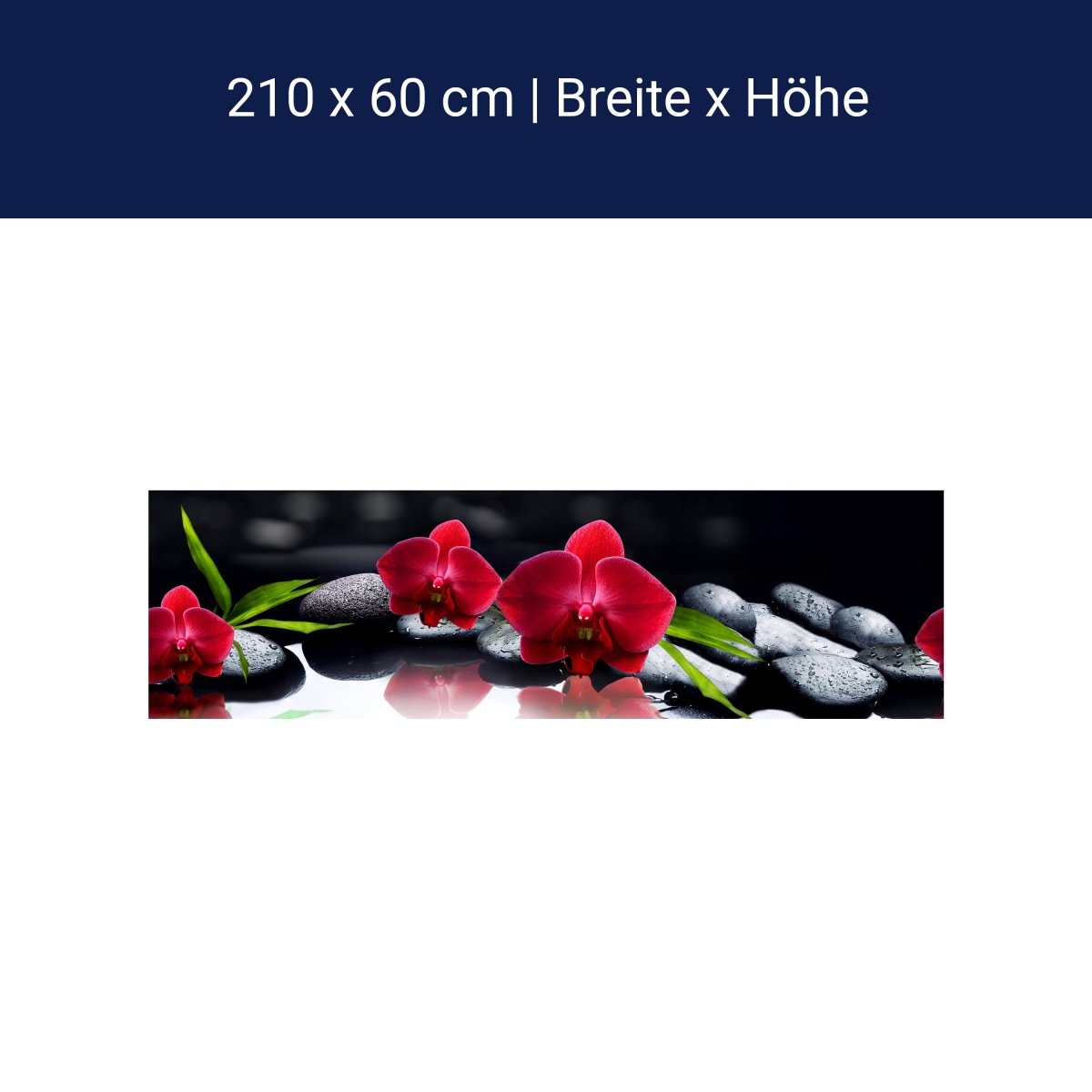 Küchenrückwand Orchidee rot Steine schwarz tropfen Spie M1125