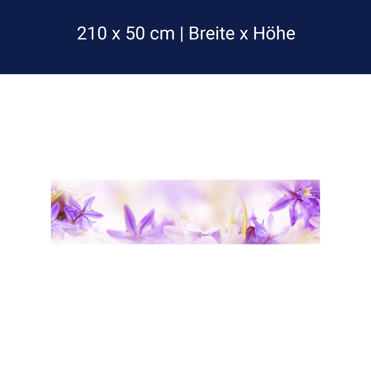 Küchenrückwand Lila Natur Blume Lilie Fokus Weichzeichn M1135